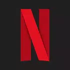 Netflix APK v8.97.3